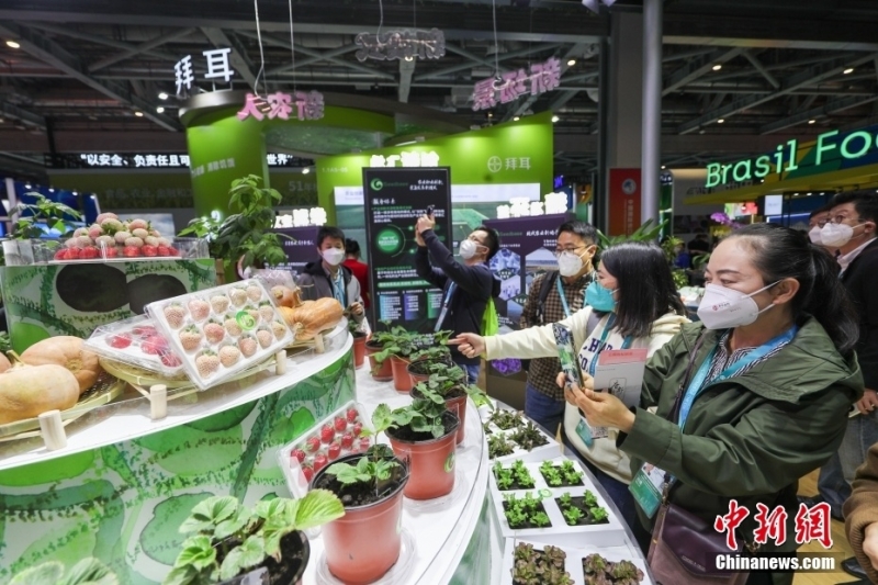 “舌尖上的进博会”:八方美食吸引参观者 “舌尖上的进博会”:八方美食吸引参观者