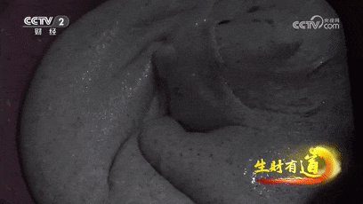 央视财经助力缙云美食 央视财经助力缙云美食