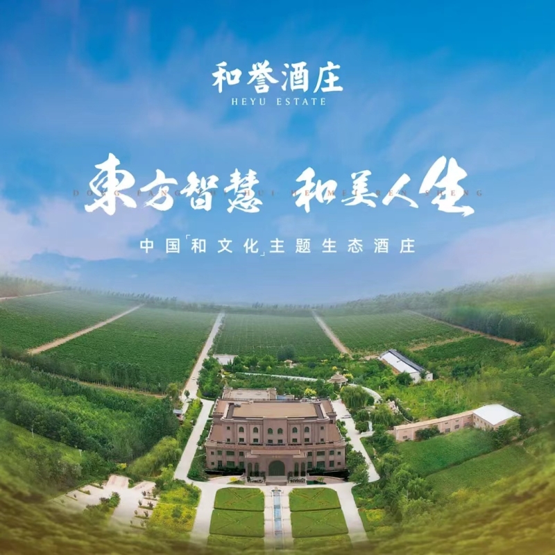 葡萄酒,宁夏产区又一黑马 葡萄酒,宁夏产区又一黑马